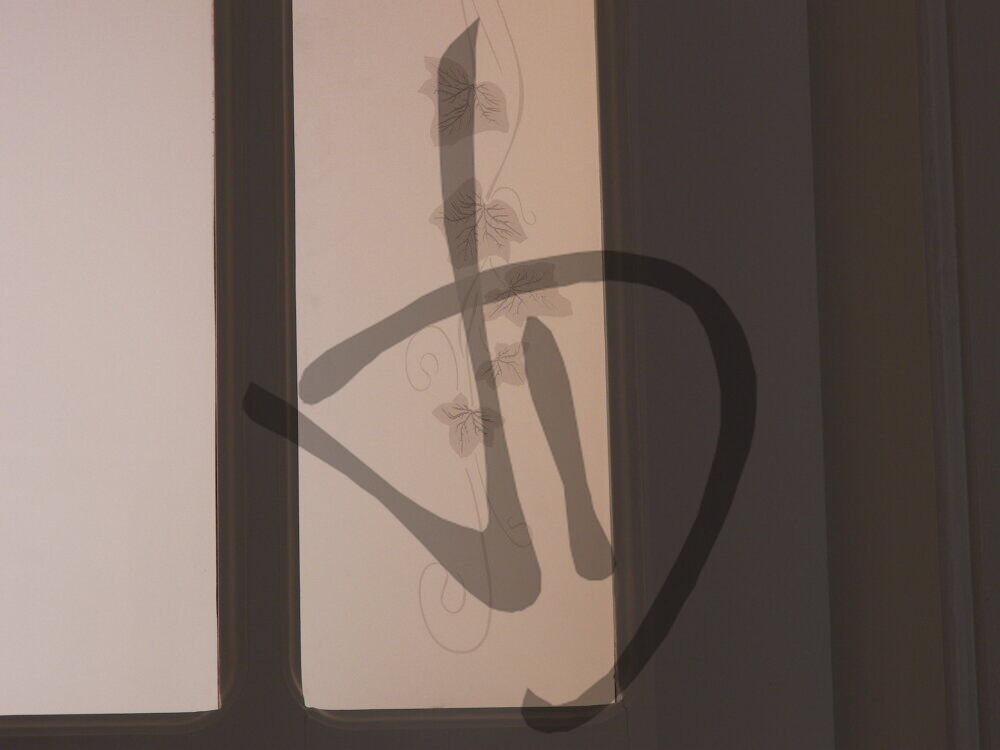 Maßgefertigte Produkte - Maßgefertigte Glastüren - Dekorgläser für Türen - Vetri decorati per porte con edera